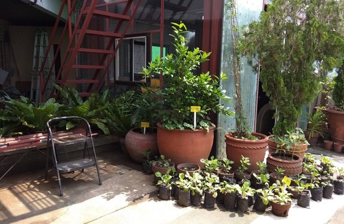 Quezon City House | Roosevelt Avenue Penthouse (5 Bedrooms 5 Bathrooms)