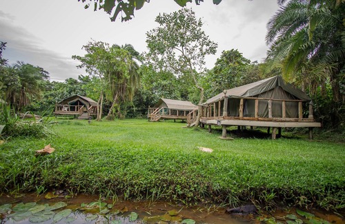 Entebbe RV Rental | Roots Retreat and Camping Resort