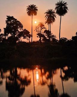 Shujalpur Other | Roots The Jungle Cafe And Resort