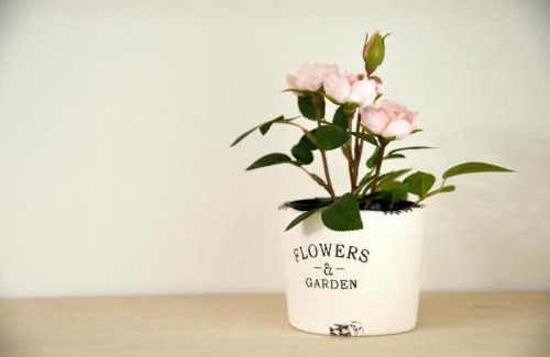 Minato Apartment | Roppongi WoodsHouse501