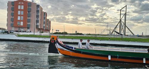 Aveiro Apartment | Rosa D'Aveiro