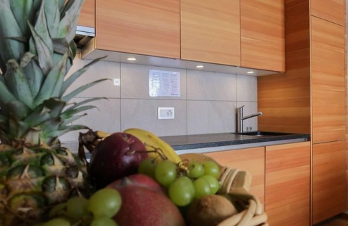 Noveli Apartment | Rosablanche E003A by Interhome