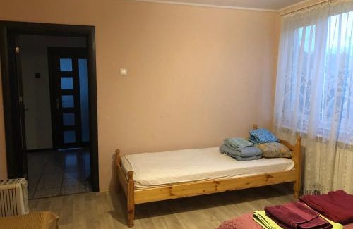 Osenovo House | Rose garden