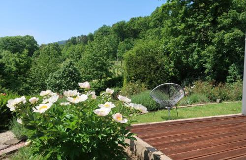 Baden-Baden Apartment | Rose Garden Retreat Private Terrace Baden-Baden