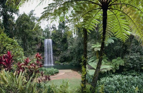 Lake Eacham Apartment | Rose Gums Wilderness Retreat