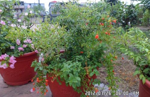 Dongshan House | Rose Lodge Homestay
