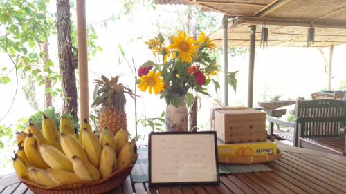 Di Linh Bed & Breakfast | Rosee de Kala - Chipmunk Alvin