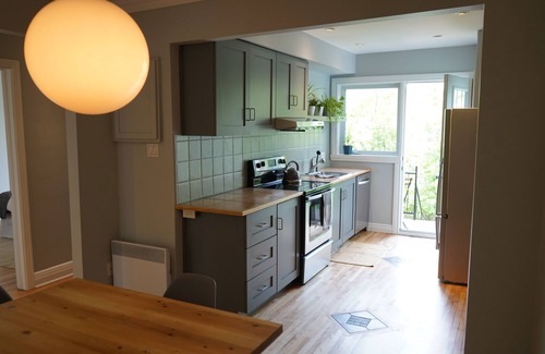 Parc Molson Apartment | ROSEMONT: Nice apartment 2 steps from Molson Park!