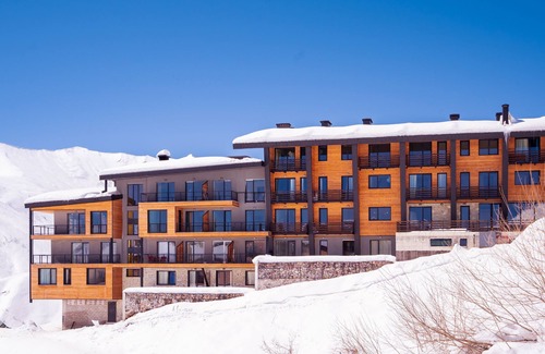 Kazbegi Apartment | Roshka 2 BD apart 501