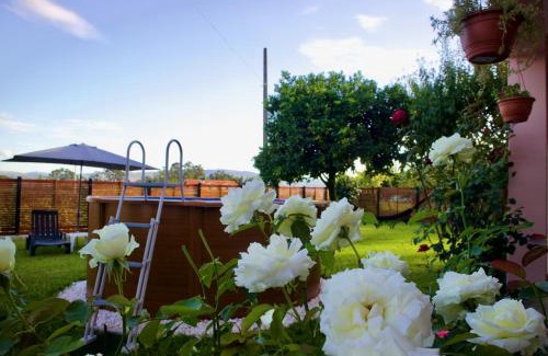 Vale de Cambra House | Rosinha Country House