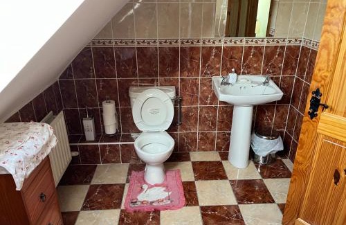 Newport Bed & Breakfast | Roskeen house