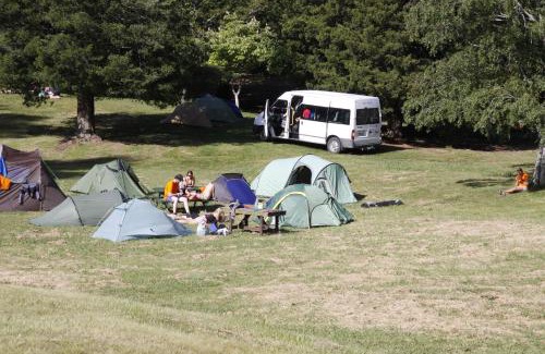 Springfield Resort | Rotorua Thermal Holiday Park