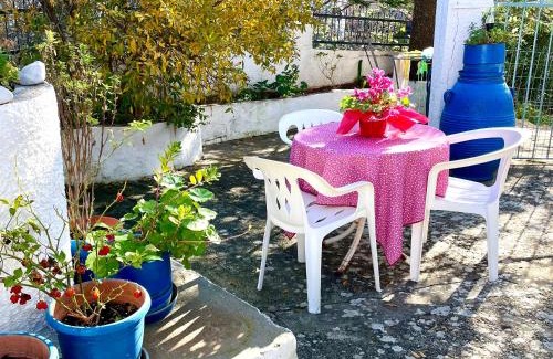 Kokkinon Khorion Apartment | Roumatsali home - Hidden 2BR historical gem