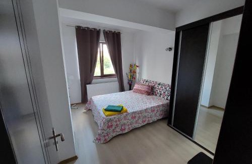 Ramnicu Valcea Apartment | Roxana apartament 3 camere