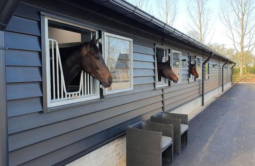 Municipality of Meierijstad Apartment | Royaal appartement P&B 't Hoeves