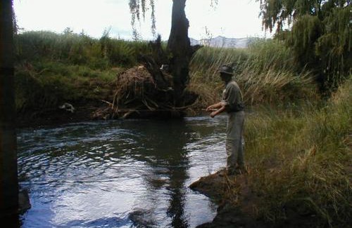 Clarens Cabin | Royal Coachman
