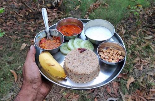 Vedasandur House | Royal Grande Farm Stay