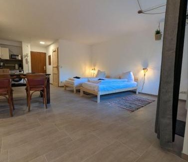 Sonnenberg Apartment | Ruhiges 1 Zimmer Appartement mit Terasse Chemnitz