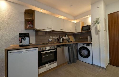 Sonnenberg Apartment | Ruhiges 1 Zimmer Appartement mit Terasse Chemnitz