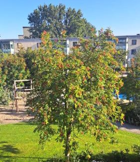 Soder House | Rum i lyxig lägenhet nära Emporia