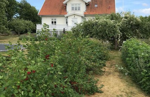 Holmsjo House | Rum på hästgård