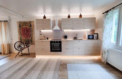 Pori Apartment | Ruma ankanpoikanen