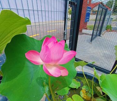 Malacca City House | Ruma Junction Ujong Pasir by Jeffery Lam Home Management