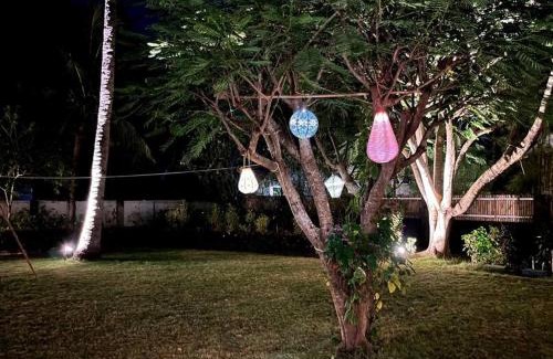 Gili Trawangan House | Rumah Marcus