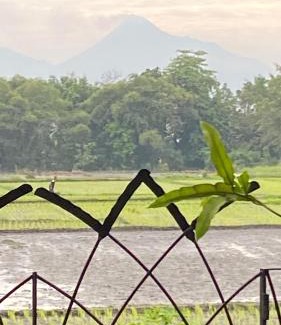 Kasihan Villa | Rumah Peach