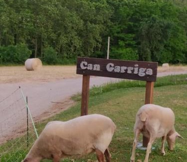 Palol de Revardit House | Rural Can Garriga