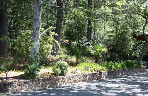 Clearlake Cabin | Rustic 1930s Log Cabin Sleeps Seven in Private Estate Setting