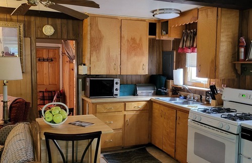 Harrison Cabin | Rustic and Eclectic open floor Plan Cabin with Canal view In Cranberry lake 😋.