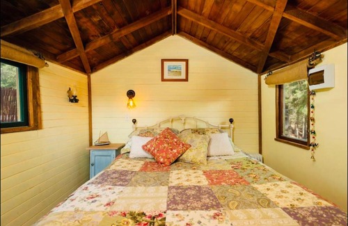 Alexandra House | Rustic cabin with hot tub - Homewood Forest Retreat
