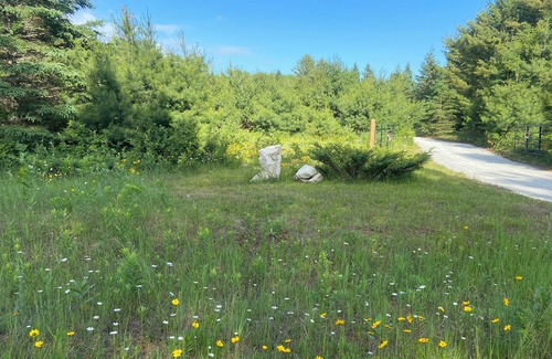 De Tour Village RV Rental | Rustic campground in De Tour Village with Large secluded lots. Site A
