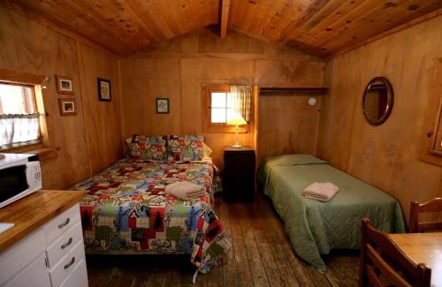Clark House | Rustic Camping Cabin with Lovely Nature Views in Columbine, Colorado