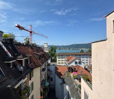 District 8 House | Rustic lakeside gem with rooftop looking to Zurich see