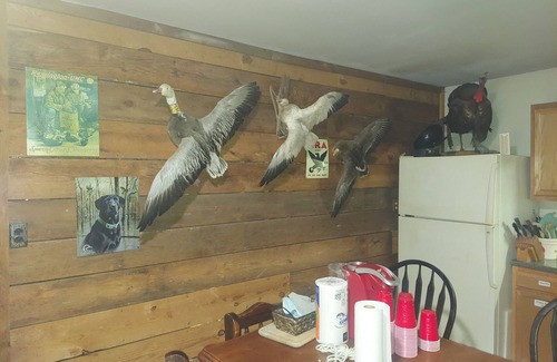 Mardela Springs Cabin | Rustic Log Cabin 1050SFnFishing and Hunting