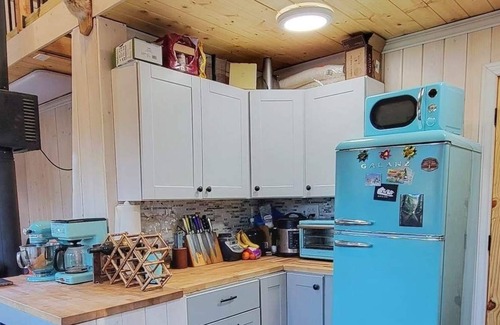 Dubois Cabin | Rustic Mountain Cabin with Direct Trail Access Togwotee Mountain