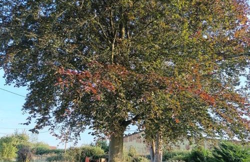 Saint-Etienne-l'Allier Villa | Rustic Norman cottage