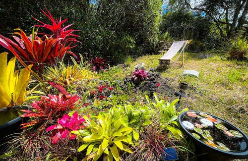 Hawaiian Acres Cottage | Rustic Relaxation Retreat Fairytale Haven near Volcano! Eco-Friendly on 2 Acres!