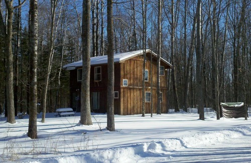 Finlayson Cabin | Rustic Two Level Tree Lodge Surrounded By The Forest With Fireplace And Fire Pit