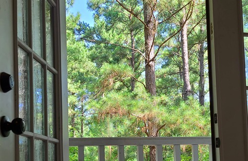 Mineola Cabin | Rustic Western Bath House in East Texas Piney Woods, Honeymoon, Weddings, Venues