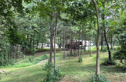 Aurora RV Rental | RV Site #43 Pull Through, Big Rig Friendly 60ftx25ft