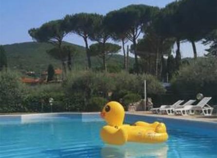 Passignano sul Trasimeno Apartment | Ryan Apartment