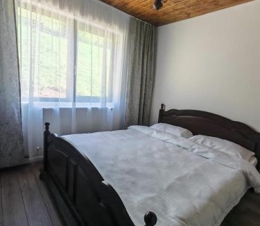 Damuc Ski Chalet | Ryan's Cabin