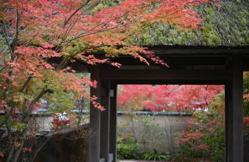 Yunohana Hotel | Ryokan Sumiya Kihoan