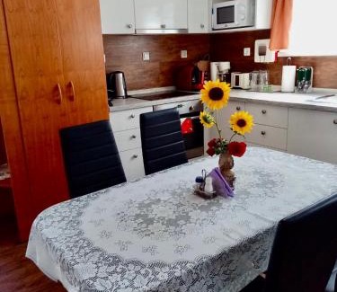 Buzsak House | Sára Vendégház Buzsák