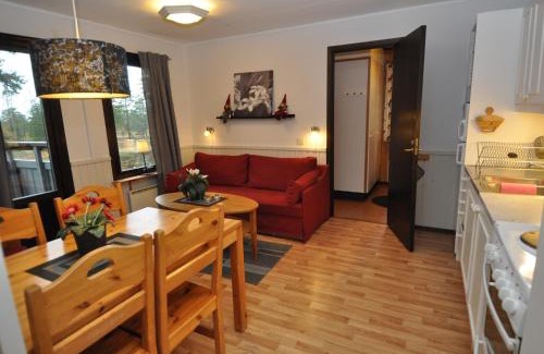 Stoten Apartment | SÄLEN, Lägenhet 12G Grå Byn, Ski in-Ski out,