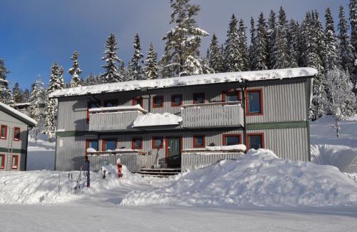 Stoten Apartment | SÄLEN, Ski in-Ski out, Lägenhet 8F Grå Byn