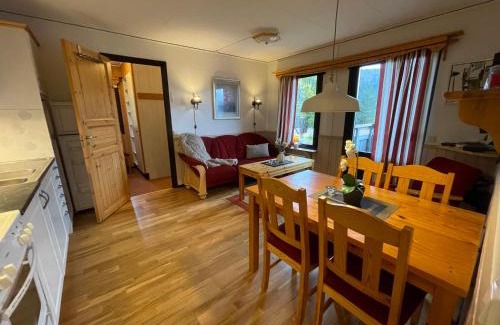 Stoten Apartment | SÄLEN, Ski in-Ski out, Lägenhet 8F Grå Byn